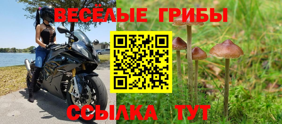Галлюциногенные грибы Cubensis Нурлат